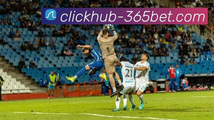 365bet平台生态图